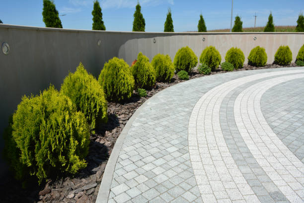 Best Driveway Paving Contractor  in Hooper, NE